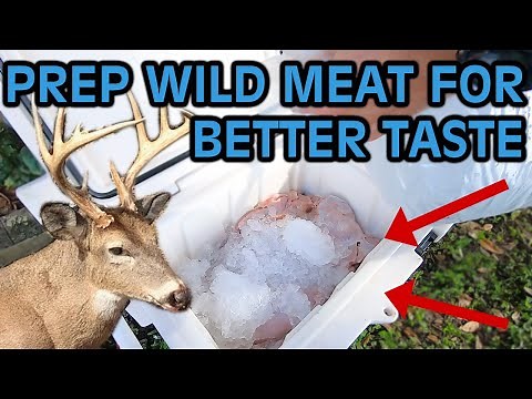 How to Prep Wild Deer Meat for Better Taste