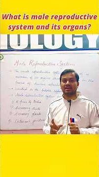 Easy way understanding Male reproductive system and its organs ‪@AshfaqueBiology‬ #biology