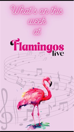 🦩🌟 𝐖𝐇𝐀𝐓'𝐒 𝐎𝐍 𝐓𝐇𝐈𝐒 𝐖𝐄𝐄𝐊 𝐚𝐭 𝐅𝐋𝐀𝐌𝐈𝐍𝐆𝐎𝐒 𝐋𝐈𝐕𝐄?🦩🌟 9 - 15 FEBRUARY 🌟 HARRY MANX | WED 11 FEB - https://flamingos.live/show/harry-manx-feb26/ 🌟 DOUBLE J PRESENTS: JOSH PYKE | FRI 13 FEB - https://flamingos.live/show/josh-pyke/ 🌟 A TRIBUTE TO WOODSTOCK | SAT 14 FEB - https://flamingos.live/show/a-tribute-to-woodstock-anniversary-show-sat-14-feb/ 🌟 CASSIDY-RAE: THE GOOD NIGHT TOUR | SUN 15 FEB - https://flamingos.live/show/cassidy-rae-the-good-night-tour-sun-15-feb/ �