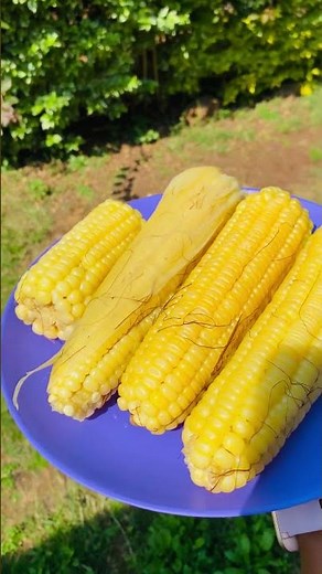 Perfect Sweet Corn Recipe | How to Boil Corn on the Cob #shorts
