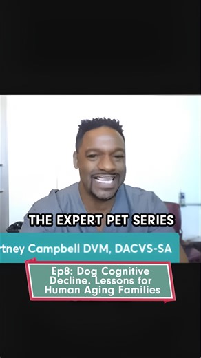 As dogs age, their brains change too. Understanding canine cognitive decline can help us better care for pets — and even teach us about human aging. In this episode: ✅ What canine cognitive decline looks like ✅ How to support senior dogs ✅ Surprising parallels with human aging 👉 Stay tuned for Episode 9: Dog Enrichment Boosts Health & Happiness 🐾 #SeniorDogs #DogHealth #DogAging #PetWellness #PetCareTips #HealthyAgingPets #petliving | Kristen Levine