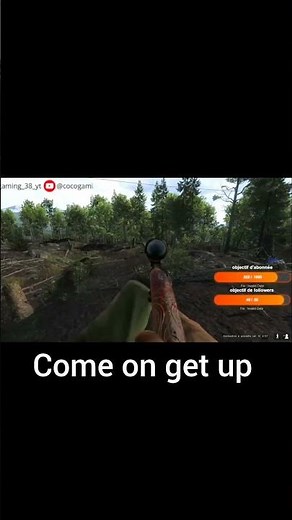 Cottontail Rabbit #1