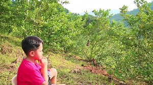 Oh Mama "OH MAMA" (ORIGINAL tagalog song) NAKAKATOUCH ANG KANTA SUPERB 👏👏👏❤❤❤(credit to the owner) DO SPREAD THIS SONG #Performed by: Axel Almoite Diaz (SON) #COMPOSED by: Jena Almoite Diaz (Mommy) #Arranged by Jovie Almoite | Israel Filipino Station