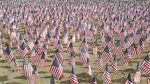 26K views · 1.4K reactions | We're LIVE at the Boston Common, where there are over 37,000 flags honoring fallen Massachusetts service members. They'll stay through Memorial Day weekend until Monday afternoon. | Boston.com | Facebook