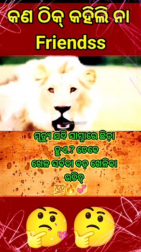 ମୃତ୍ୟୁଞ୍ଜୟ 🔥💯| #instagram #instaindia #reelsitfeelsit #fightforlive #instadaily #hindisongs #entretainment #reels #suryakanta197 #instagood 💞💞🌹💯🔥🔥 | Suryakanta Das