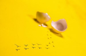 Fabric 1.0: Hyperledger Releases First Production-Ready Blockchain Software