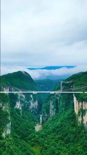 Zhangjiajie Grand Canyon Full Tour 2026 World's Highest Glass Bridge, Zipline & Hidden Gems of China
