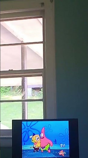 SpongeBob SquarePants On nicktoons on spectrum TV