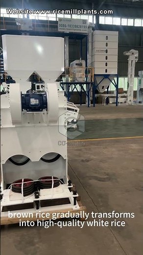 Double Emery Roller Rice Mill | Rice Process Machine for Sale #ricemillsupplier #ricemill