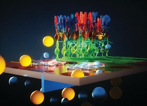 “Graphene-based microfluidic perforated microelectrode arrays for retinal electrophysiological studies” published in Lab on a Chip, selected as VINSE Spotlight Publication