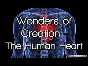 Wonders of Creation: The Human Heart