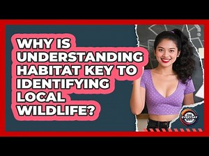 Why Is Understanding Habitat Key To Identifying Local Wildlife? - The Everyday Why