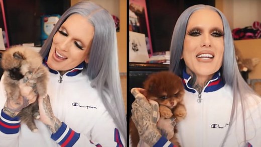 Jeffree Star's dogs: Names, ages and everything you need to know about the YouTuber's Pomeranians