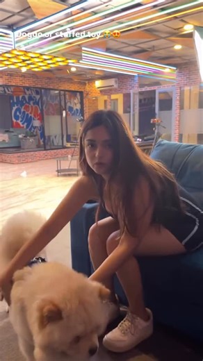 P R E R U 💫 on Instagram: "Doggy Or Stuffed Toys 🧸 #mizo #mizoreels #dog #doglover #doglovers #godlike #godlikeesports #explorepage #exploremore #trending #trendings #trendingnow #trendingreels #trendingvideo #virals #viral #viralreels"