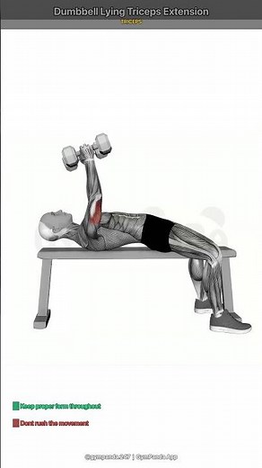Dumbbell Lying Triceps Extension - Perfect Form Guide #shorts