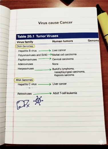 virus cause cancer// csir net life science cell signalling and communication
