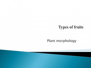 Types of fruits - SlideServe