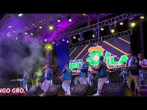 LA SUPER FORMULA MUSICAL / POPURRÍ EL PAVIDO NAVIDO