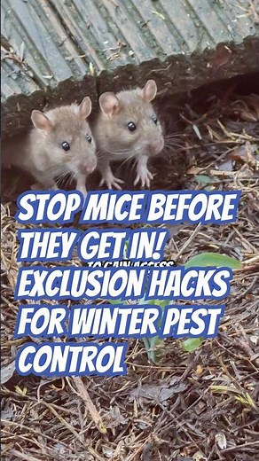 Mouse proof your home with these simple exclusion tips from DoMyOwn.com!