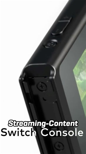 Switch 1 verliert SOFTWARE