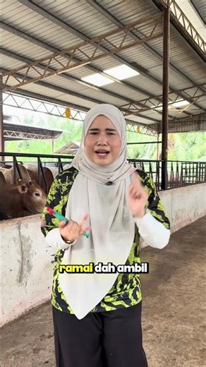 Korban 2026