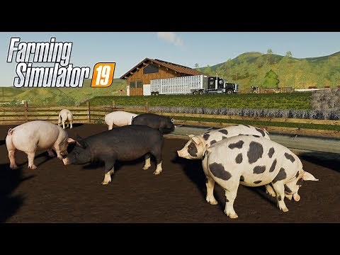 FS19 | #3 PIGS for the Farm
