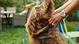 Memorial Day sale at JCPenney! Shop swimwear for the whole family at up to 60% off. Don’t miss out! Style and value for all. | JCPenney