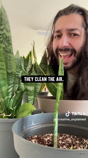 Easiest Plant to Clone: Simple Plant Cloning How-To