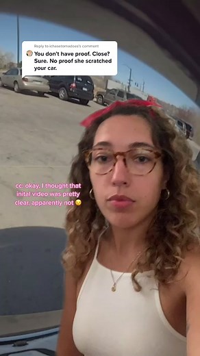 Tesla Car Scratch Camera Reveal