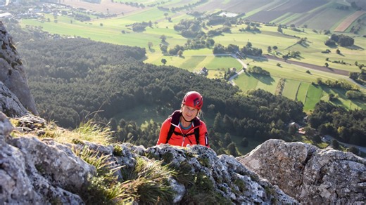 Aufgetischt am Sonntag: Wiener Neustadt