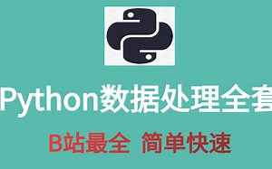 Python数据处理全套 B站最全 简单快速
