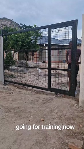 Buhle The Runner's Journey: Training for Success