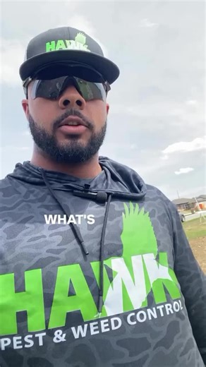 THE SECRET IS OUT. Our tried and true formula for eliminating weeds and helping establish a healthy lawn is available to the public. It’s safe for family, friends, and pets, that is,… as long as they aren’t weeds. Give us a call now so we can help you fight back!