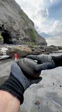 We went fossil hunting on a Jurassic Coast beach and searched for hidden treasures