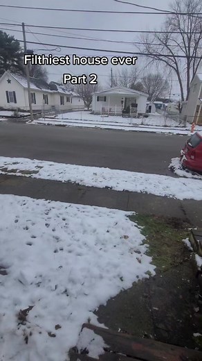 Dealing with the Nastiest House: 10 Days Later Update