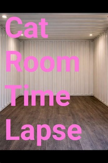 Cat Room Time-Lapse #timelapse #cat #catmeme #ai #shorts #meme #memes #music #catmemes #funny