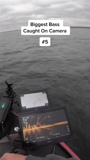 65K views · 1.2K reactions | Josh Jones makes the list with an absolute MONSTER!!  #bassfishing #bassfishingbasics #joshjones #bigbass #largemo #fishing #bassfishing #reelsfb #reelsviral #reels | Xon Reel x34 | Facebook