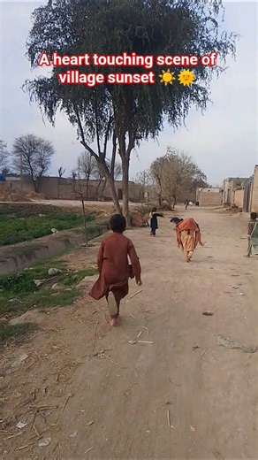 Village Sunset scene ☀️🌞 | Village beauty 😍