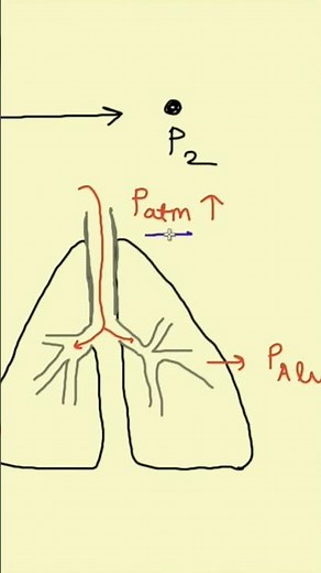 positive VS negative pressure breathing | Mechanics of respiration | Respiratory Physiology