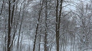 One year in 120 seconds