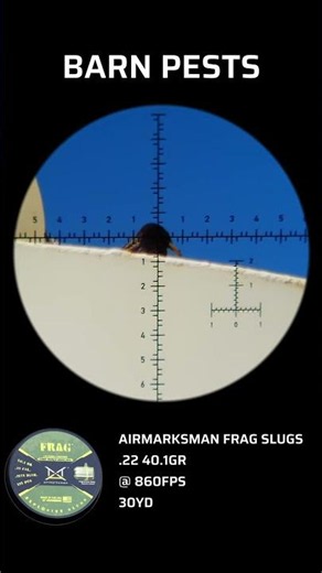 What does fragmenting ammo do to a birds head?