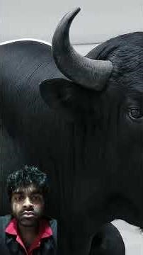 Inside a Modern Beef Wellington Factory: How Wagyu Is Made (Kobe To Beef Wellington) Full Process 14