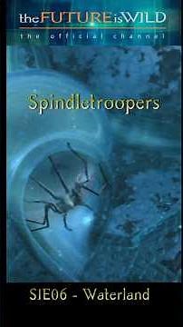 Spindletroopers Attack