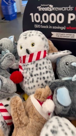 Happy to buy Rabbit stuff.🐕‍🦺🤩♥️#happy 👉Like/subscribe👈