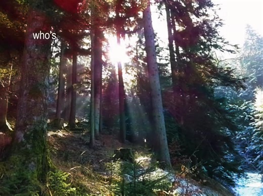 who's that walking down your stairs..? #recommend #alexg #animals #Rosie #щитпост