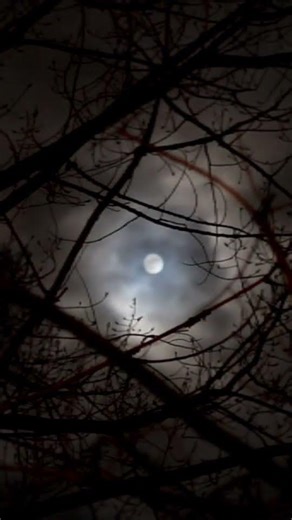 Hopkinsville Goblins: The Night Aliens Attacked My House 👽