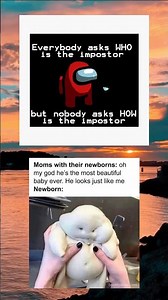 Daily dose of meme from Meme Shop #memes #meme