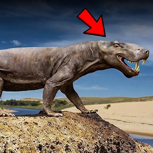 17K views · 370 reactions | The Scariest Time To Be Alive!  | Animalogic | Facebook