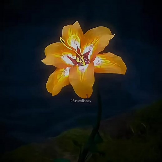 Barbie Barbie on Reels