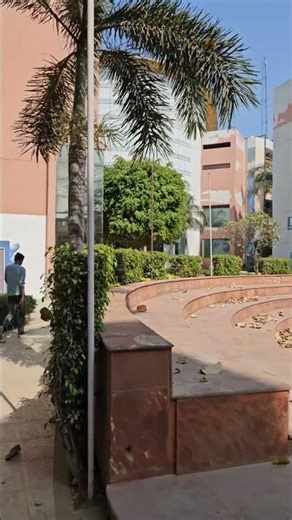 B.Tech 3rd Year aur ab start ki DSA + AI Journey | Day 1 #shorts #dsa #ai #btech #vlog